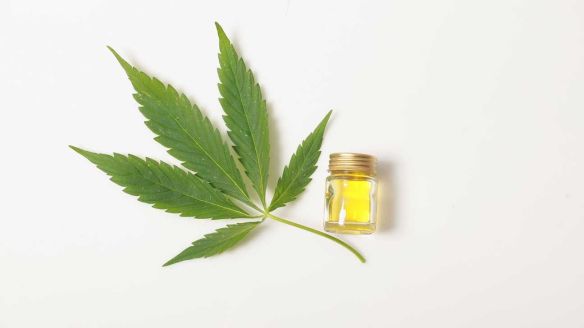 cbd-oil-cannabis-leaf-1296x728